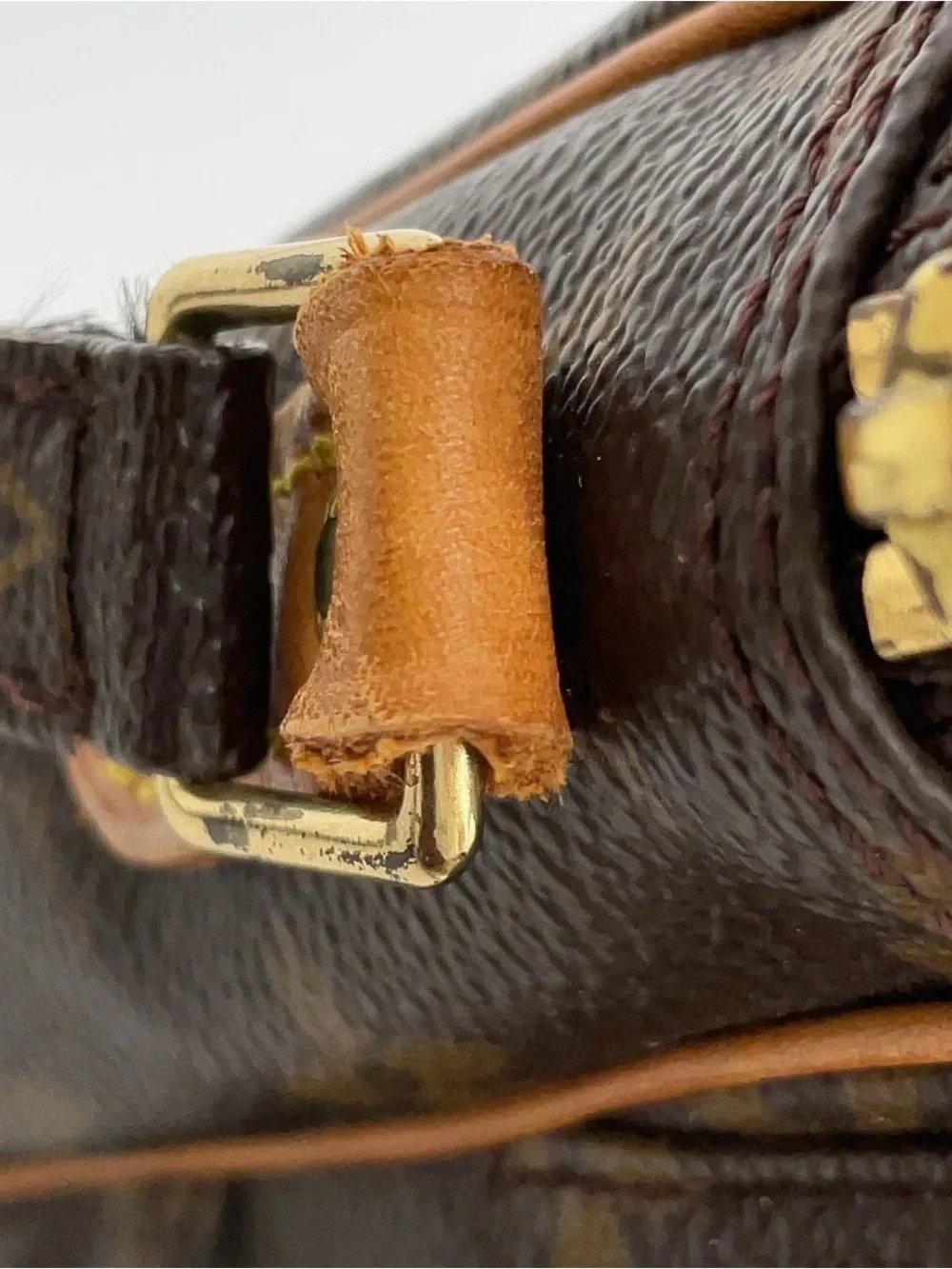 Auth Louis Vuitton Monogram Amazon Shoulder Bag